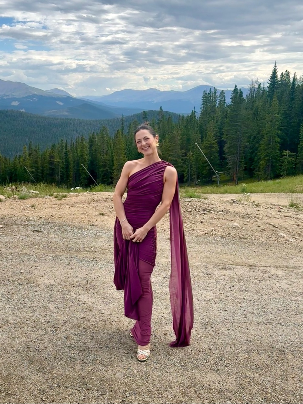 Meshki Asher Dress (LIKE NEW!) - One-Shoulder Draped Gown in Neutral Plum - Picture 3 of 4